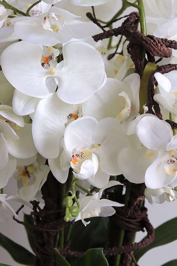 Modern Meadow, stylowy storczyk w doniczce ze wzorem, wys.70cm