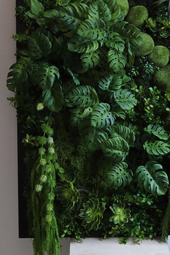 Green Hotel Black, czarna jednostronna rama sukulenty, wym.95x65cm
