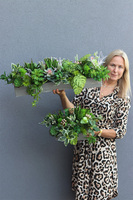 Albertina Sukulenty Saute, zielona dekoracja do twojej donicy	