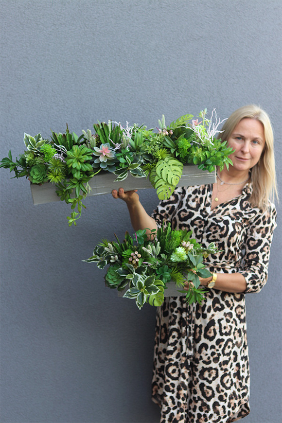 Albertina Sukulenty Saute, zielona dekoracja do twojej donicy