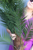 Palma Magellania, sztuczna roślina w doniczce, wys.130cm