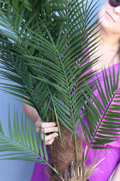 Palma Magellania, sztuczna roślina w doniczce, wys.130cm