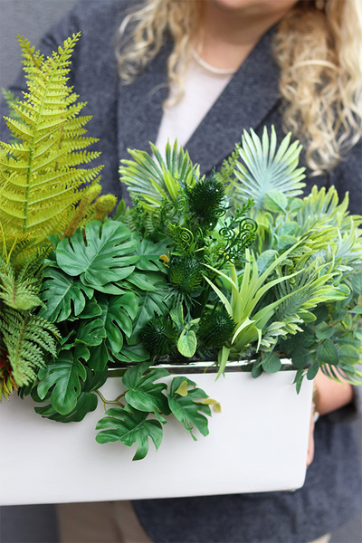 Anya Decory 2 Sukulenty, zielona kompozycja w donicy