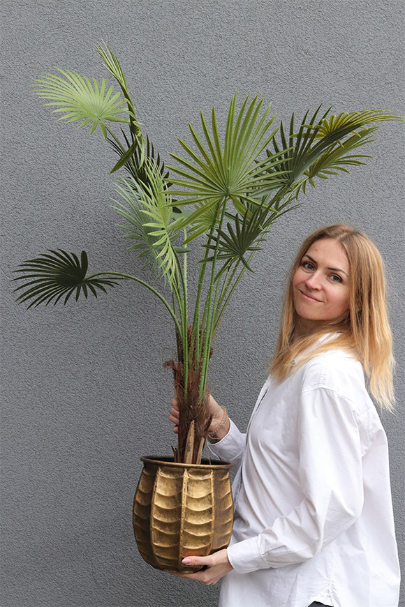 Palma Livistona Bellis, sztuczna roślina w doniczce