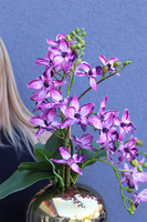 Klementa, sztuczny storczyk w złotej donicy w kształcie kuli, wys.46cm