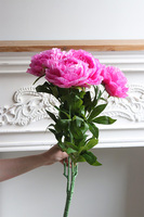 Love Me, bukiet peonii do wazonu, fuksja