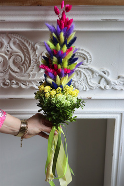 Tęczowy susz, palemka wielkanocna, dł.60cm