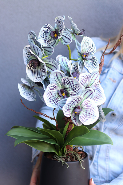 Bellede, wysokiej jakości sztuczny storczyk, wym.54cm