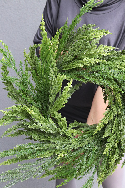 Tuja Lux, świąteczny zielony wianek