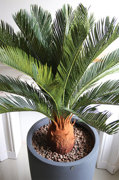 Cykas Concrete, sztuczna roślina w betonowej donicy, wys.146cm 