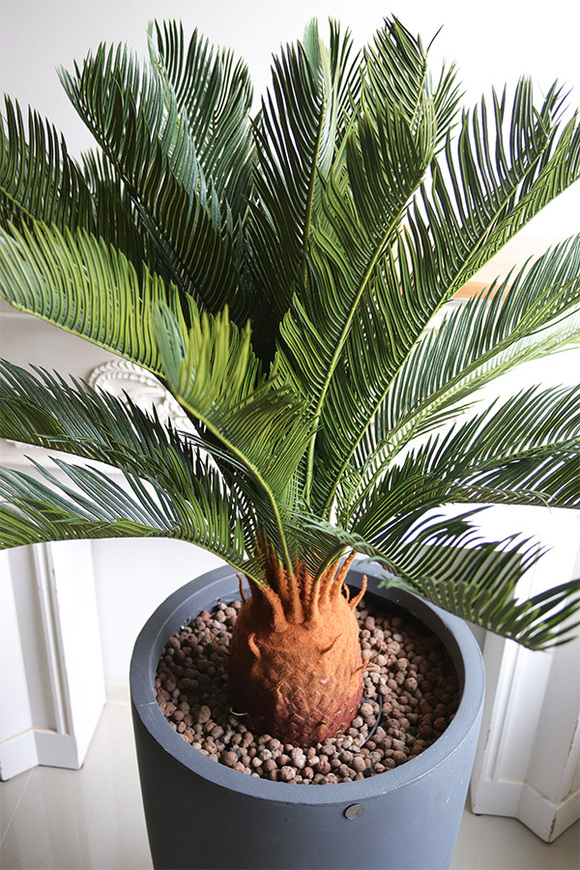 Cykas Concrete, sztuczna roślina w betonowej donicy