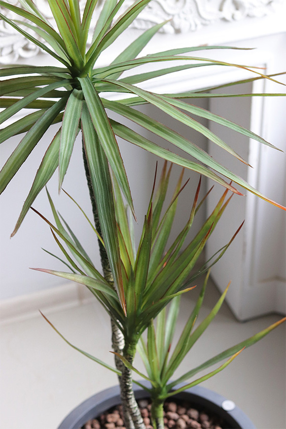 Dracena Concrete, sztuczne drzewko w betonowej donicy