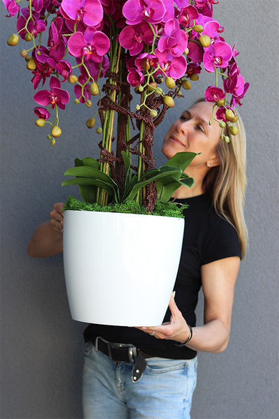 Mediolan Round Fuksja w białej donicy