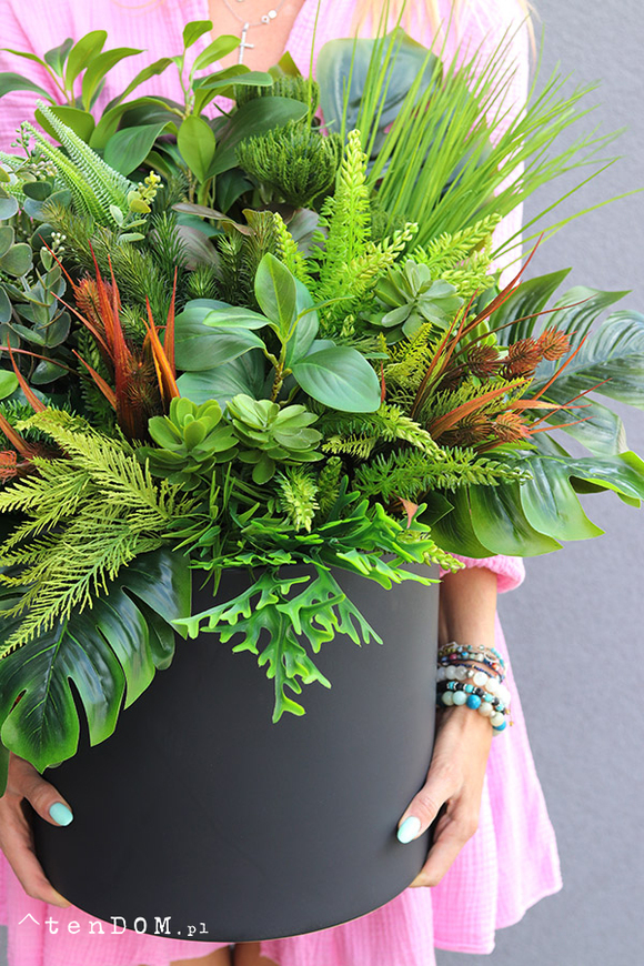 Zielona Moderna Big, sukulenty w czarnej donicy