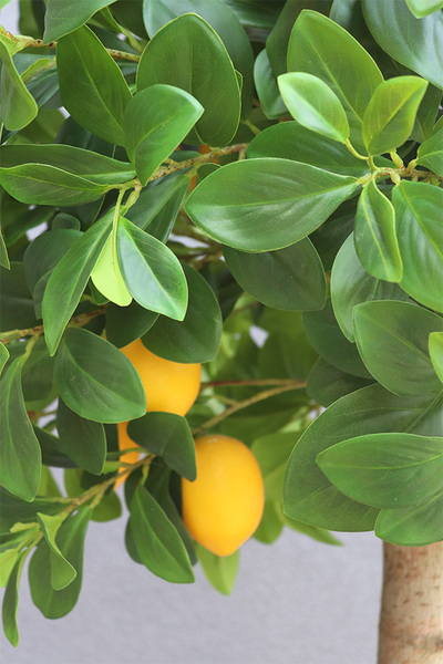 Lemon Tree, sztuczne drzewko cytrynowe w osłonce