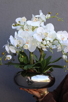 Bellana Silver, sztuczny storczyk w srebrnej misie