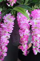 Selia Wisteria, kwiatowa kompozycja w wiszącej metalowej donicy