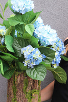 Blue Hortensja w Mchu, kompozycja kwiatowa w pniu