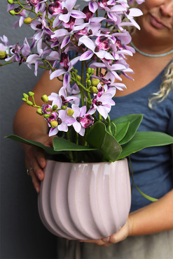 Thai Selania Violet, liliowy sztuczny storczyk, wys.59cm