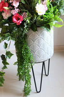 Freddata Spring, wiosenna kompozycja roślinna