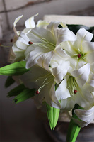 bukiet gumowych białych lilii, Lilianna, 6szt, dł. cm 