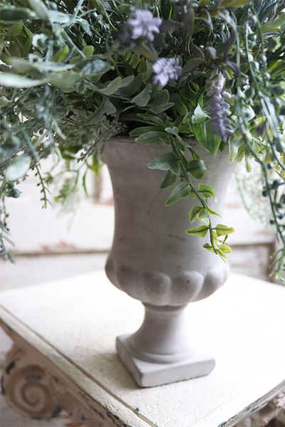 lawenda w cementowym pucharze Grigio, Szafirowe Wzgórza, wys.47cm