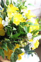 kompozycja z żonkilami, Żółta Wiosna Gold, wys.57cm