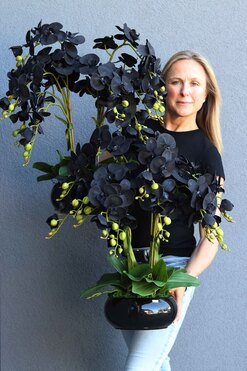 Black Orchid Piano, czarny storczyk, wys.63cm 