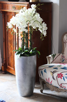 Grande Teoso, storczyk podłogowy w srebrnej donicy, wys.132cm