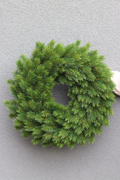 Zielone Święta, iglasty wianek jak żywy