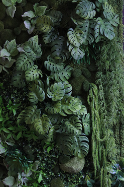 Green Hotel Black, czarna jednostronna rama sukulenty, wym.95x65cm