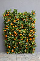 Olimpia Pomarańcze, zielona ścianka roślinna z owocami