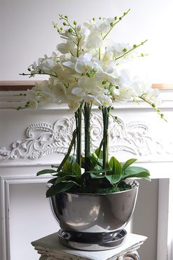 Helissa Lucky, gumowy storczyk w lustrzanej donicy z podstawką, wys.94cm