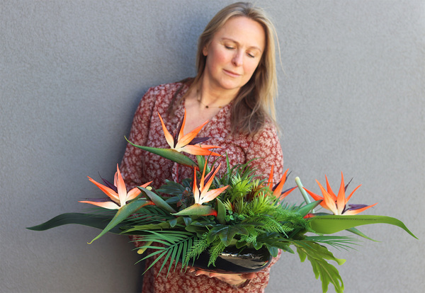 Strelicja Hotelia, podłużna kompozycja w misie