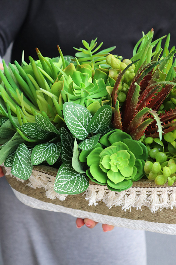 Hefrasa Boho Basket, kosz ceramiczny z sukulentami