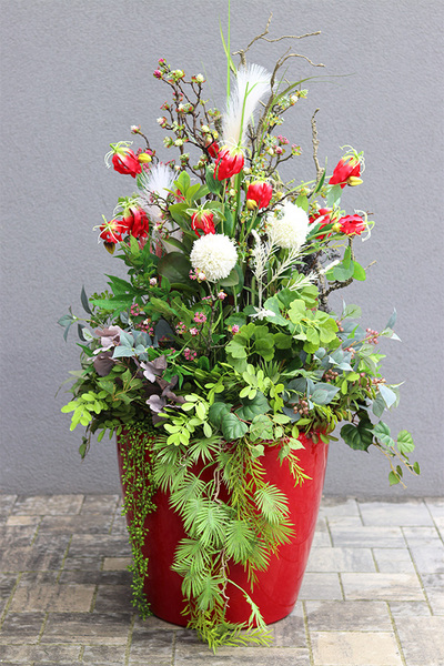 Glorioza Modern Classico, kompozycja z trawami w czerwonej donicy