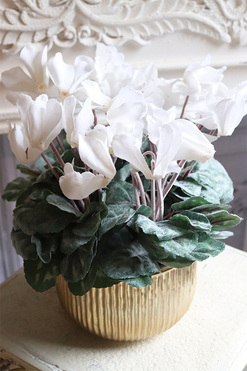 Szronione Cyklameny 2, elegancka zimowa kompozycja, wys.35cm