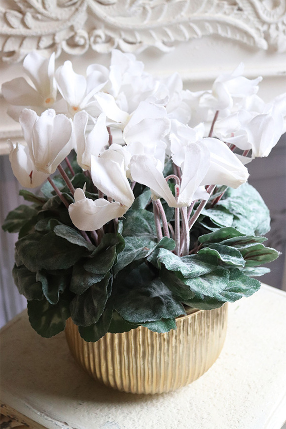 Szronione Cyklameny 2, elegancka zimowa kompozycja