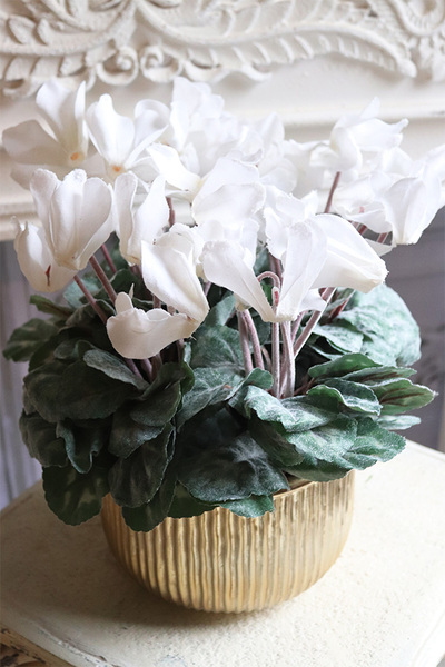 Szronione Cyklameny 2, elegancka zimowa kompozycja