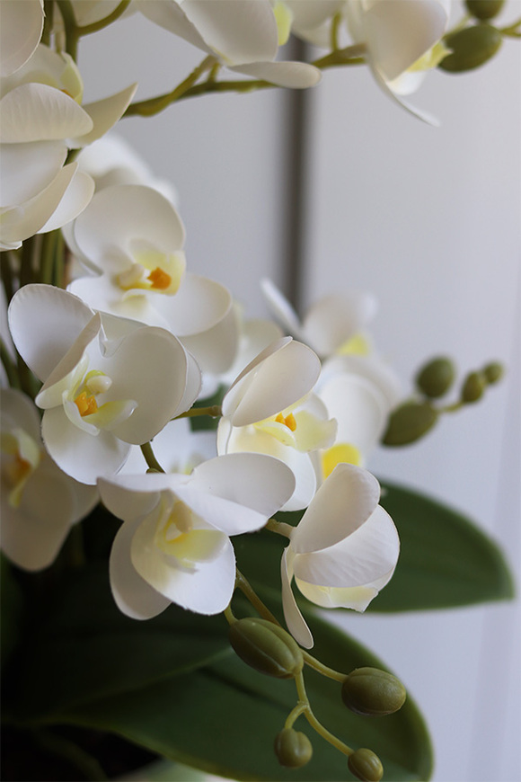 Mint&White, gumowy storczyk w pasiastej doniczce