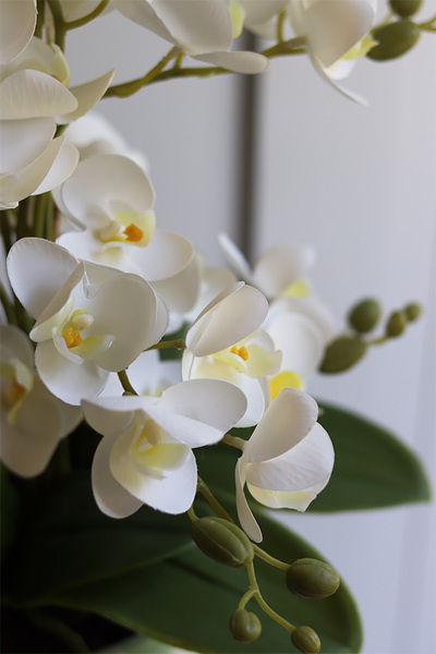 Mint&White, gumowy storczyk w pasiastej doniczce