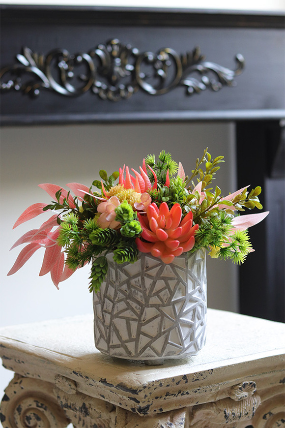 Kledia, sukulenty w nowoczesnej donicy