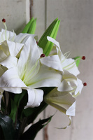 bukiet gumowych białych lilii, Lilianna, 6szt, dł. cm 