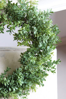 zielony wianek bukszpanowy Saute Boxwood