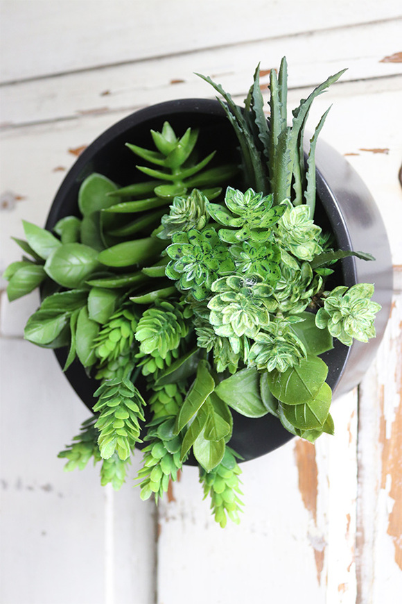 Designerio B, kompozycja sukulenty w czarnej donicy wiszącej, wym.13x21cm