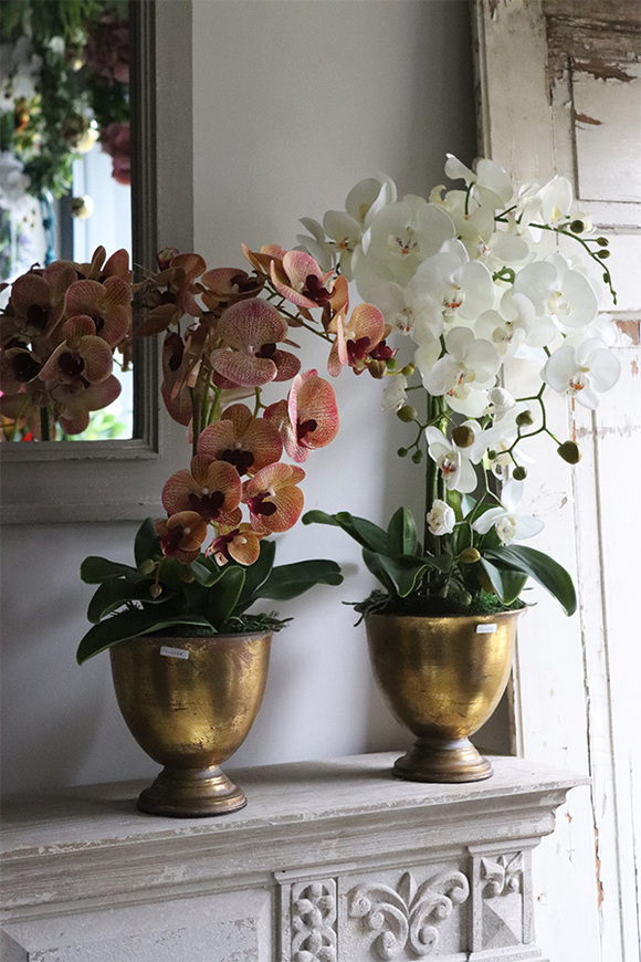 Gedristo Granada, gumowy storczyk tygrysi w złotym pucharze, wys.60cm 