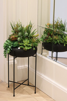 Aldara, kompozycja z sukulentami w donicy na stojaku