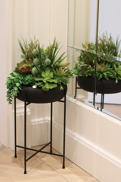 Aldara, kompozycja z sukulentami w donicy na stojaku