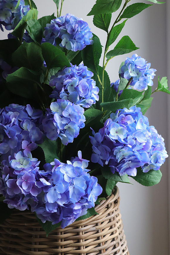 Blue Moon Basket, wiosenna kompozycja roślinna