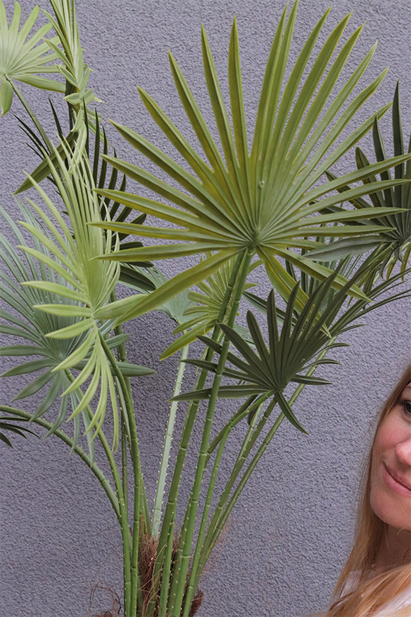 Palma Livistona Bellis, sztuczna roślina w doniczce